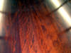 piano rebuinding vancouver bc canada